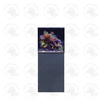 D-D Aqua-Pro Reef 600- Cube- ANTHRACITE MATT